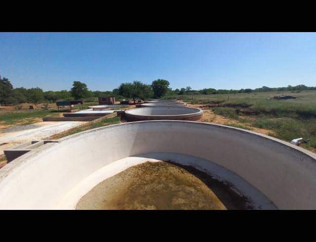 FARM FOR SALE IN MOPANE